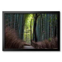 Obraz w ramie Ciemny las bambusowy, Kyoto, Japan