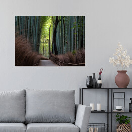 Plakat samoprzylepny Ciemny las bambusowy, Kyoto, Japan