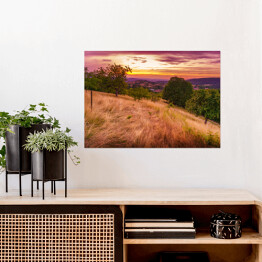 Plakat samoprzylepny Zachod słońca w różowych barwach nad sadem