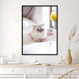Plakat w ramie Kot perski na łóżku