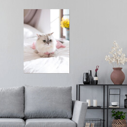 Plakat samoprzylepny Kot perski na łóżku
