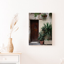 Obraz na płótnie Stary dom z roślinami w garnkach i drewnianymi ciemnobrązowymi drzwiami