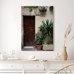 Obraz na płótnie Stary dom z roślinami w garnkach i drewnianymi ciemnobrązowymi drzwiami