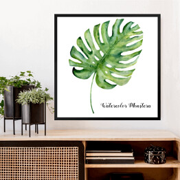 Obraz w ramie Akwarela - tropikalny liść monstera