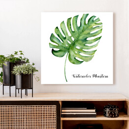 Obraz na płótnie Akwarela - tropikalny liść monstera