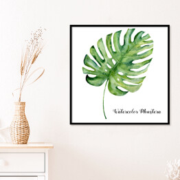Plakat w ramie Akwarela - tropikalny liść monstera