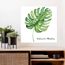 Plakat samoprzylepny Akwarela - tropikalny liść monstera