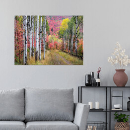 Plakat samoprzylepny Wielobarwny las wokół Gór Wasatch, Utah