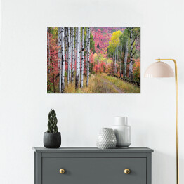 Plakat samoprzylepny Wielobarwny las wokół Gór Wasatch, Utah