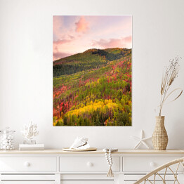 Plakat samoprzylepny Kolorowy las wokół Wasatch Mountains of Utah