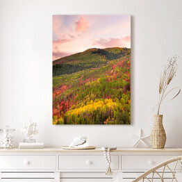 Obraz na płótnie Kolorowy las wokół Wasatch Mountains of Utah
