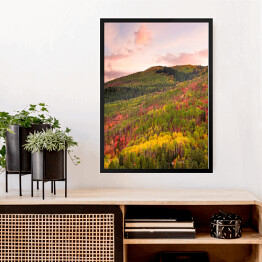 Obraz w ramie Kolorowy las wokół Wasatch Mountains of Utah