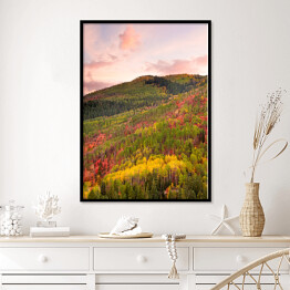 Plakat w ramie Kolorowy las wokół Wasatch Mountains of Utah