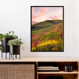 Plakat w ramie Kolorowy las wokół Wasatch Mountains of Utah