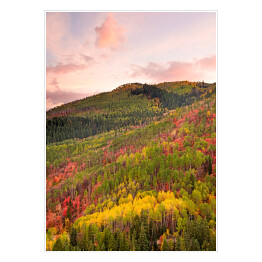 Plakat samoprzylepny Kolorowy las wokół Wasatch Mountains of Utah