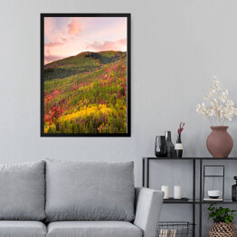Obraz w ramie Kolorowy las wokół Wasatch Mountains of Utah