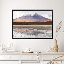 Obraz w ramie Laguna Hedionda z flamingami, Boliwia