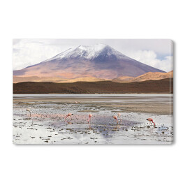 Obraz na płótnie Laguna Hedionda z flamingami, Boliwia