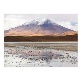 Plakat samoprzylepny Laguna Hedionda z flamingami, Boliwia