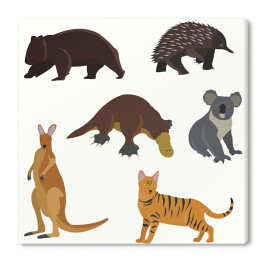 Obraz na płótnie Zwierzęta australijskie na białym tle