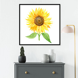 Słonecznik na białym tle - ilustracja