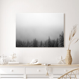 Obraz na płótnie Sosny pokryte śniegiem w białej zamieci