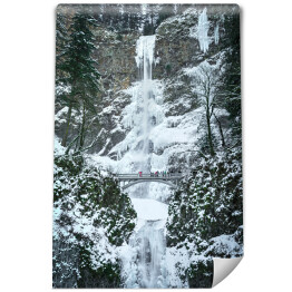 Fototapeta Zamarznięty wodospad w zimie