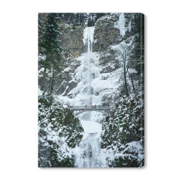 Obraz na płótnie Zamarznięty wodospad w zimie