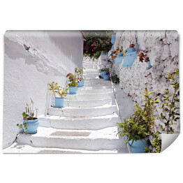 Fototapeta winylowa zmywalna Typowa śródziemnomorska architektura - biało niebieski dom z wejściem ozdobionym roślinnością