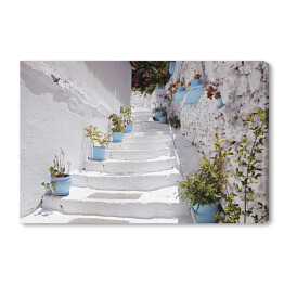 Obraz na płótnie Typowa śródziemnomorska architektura - biało niebieski dom z wejściem ozdobionym roślinnością