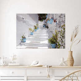 Plakat Typowa śródziemnomorska architektura - biało niebieski dom z wejściem ozdobionym roślinnością