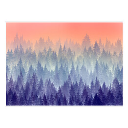 Plakat samoprzylepny Drzewa w porannej mgle