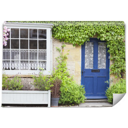 Fototapeta Ciemnoniebieskie drzwi w starym tradycyjnym angielskim kamiennym domku otoczonym różową różą, bluszczem i żywopłotami