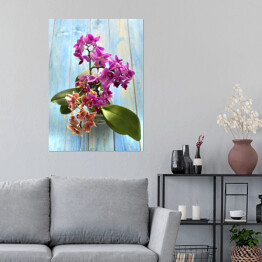 Plakat Fioletowa orchidea na błękitnej drewnianej desce