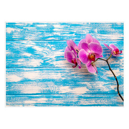Gałąź purpurowej orchidei na błękitnym drewnianym stole