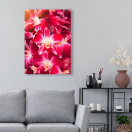 Obraz na płótnie Piękny ciemnoróżowy storczykowy kwiat