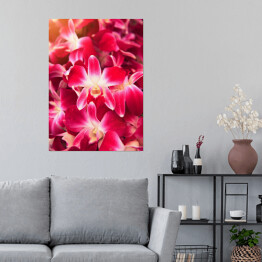Plakat samoprzylepny Piękny ciemnoróżowy storczykowy kwiat