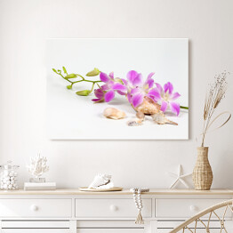 Obraz na płótnie Kolorowy kwiat orchidei przy muszlach morskich