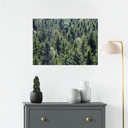 Plakat samoprzylepny Skandynawski las - widok z góry