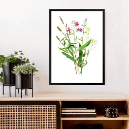 Akwarela - botaniczny rysunek dzikich kwiatów