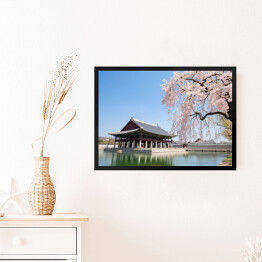 Obraz w ramie Kwitnąca wiśnia przy świątyni