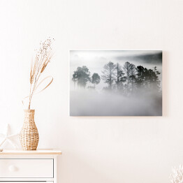 Obraz na płótnie Zagajnik w gęstej mgle