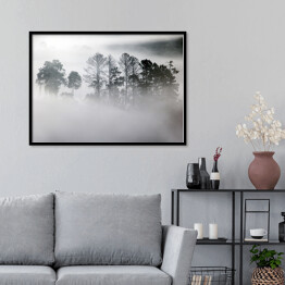 Plakat w ramie Zagajnik w gęstej mgle