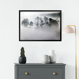 Obraz w ramie Zagajnik w gęstej mgle