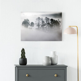Obraz na płótnie Zagajnik w gęstej mgle