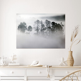 Plakat Zagajnik w gęstej mgle