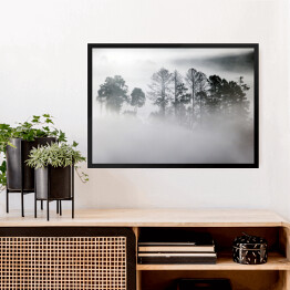 Obraz w ramie Zagajnik w gęstej mgle