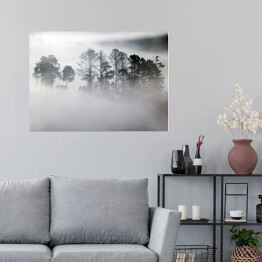 Plakat samoprzylepny Zagajnik w gęstej mgle