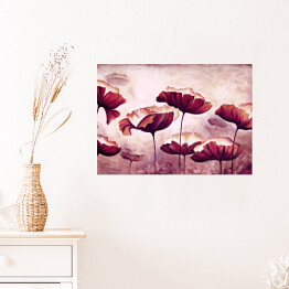 Plakat samoprzylepny Maki w odcieniach różu i fioletu