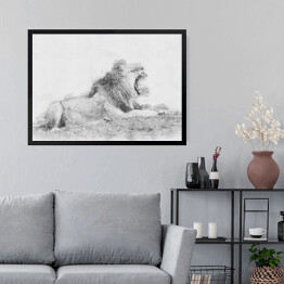 Obraz w ramie Ryczący lew - szkic